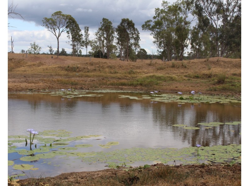 731 Eureka Station Road, Eureka QLD 4660