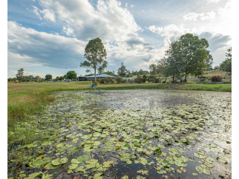 21 Samantha Drive, Pie Creek QLD 4570