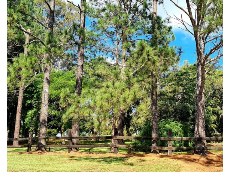 266 Lagoon Pocket Road, Lagoon Pocket QLD 4570