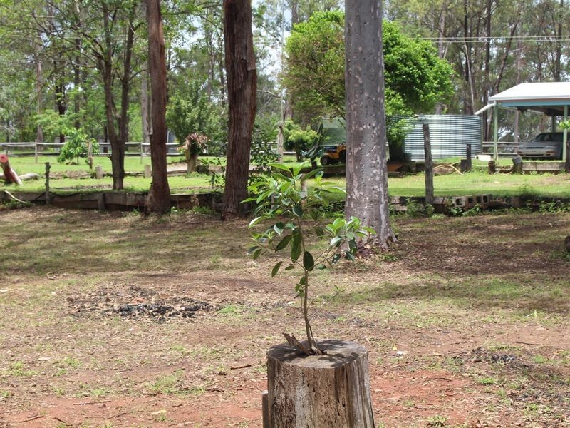 15 Sunrise Road, Glenwood QLD 4570