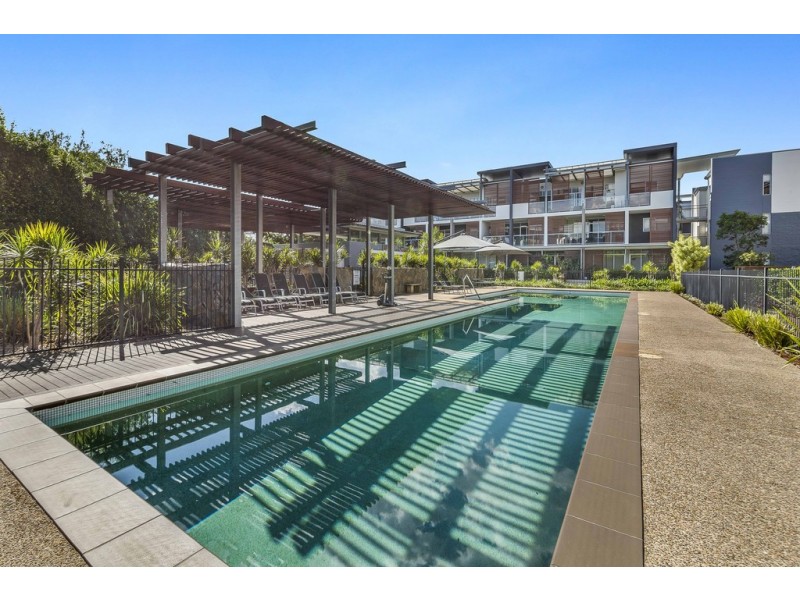 12/43 Love St, Bulimba QLD 4171