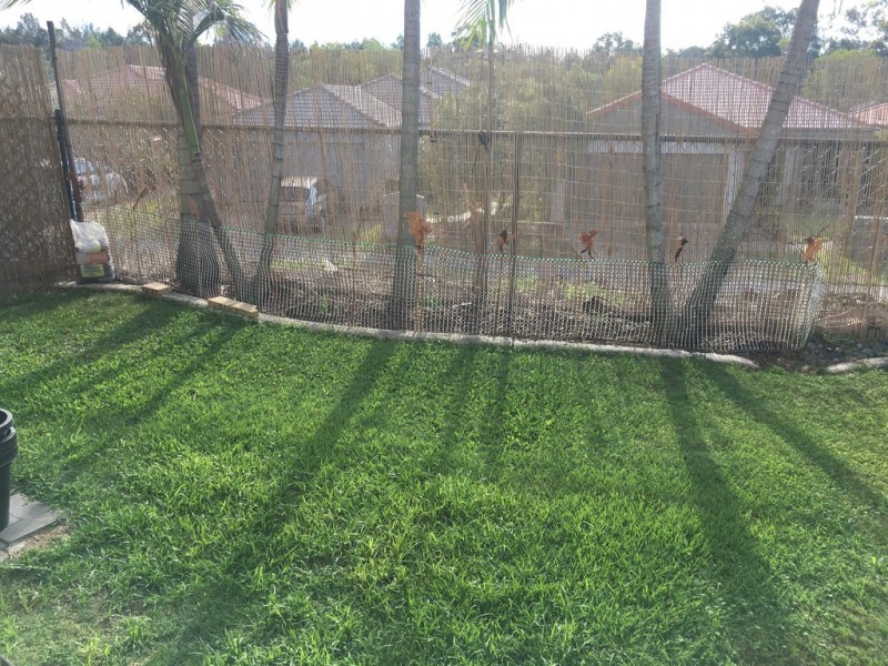 2 Gentian Drive, Arundel QLD 4214