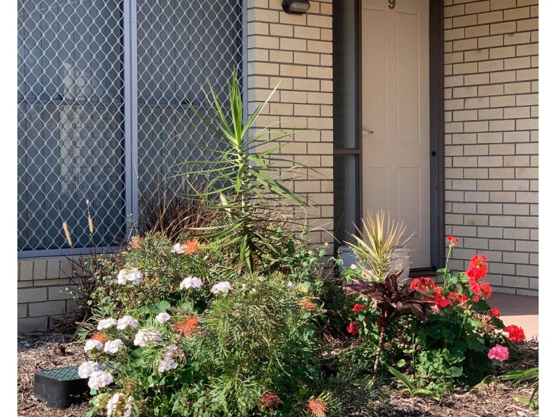14/54a Briggs Road, Raceview QLD 4305
