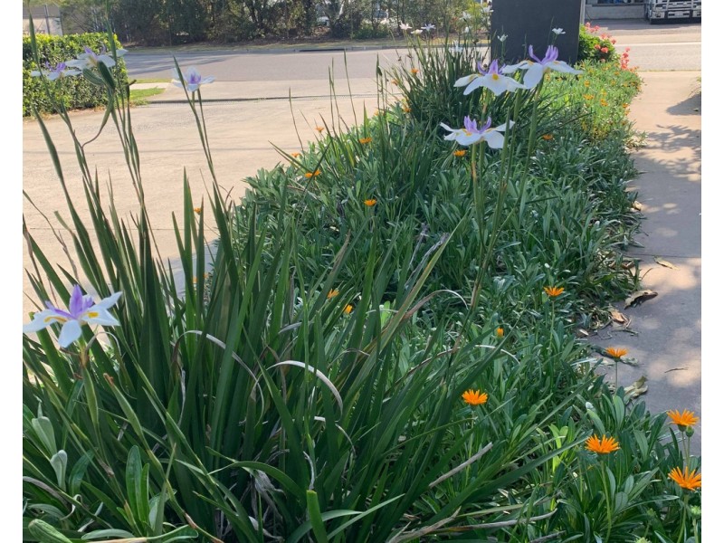 14/54a Briggs Road, Raceview QLD 4305