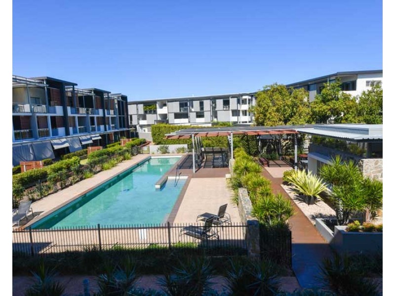 63/25 Love Street, Bulimba QLD 4171