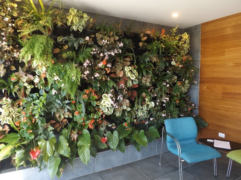 32/46 Regatta Blvd, Birtinya QLD 4575