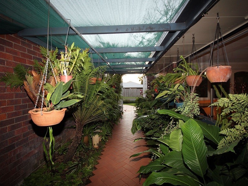 14 Petrina St, Eight Mile Plains QLD 4113