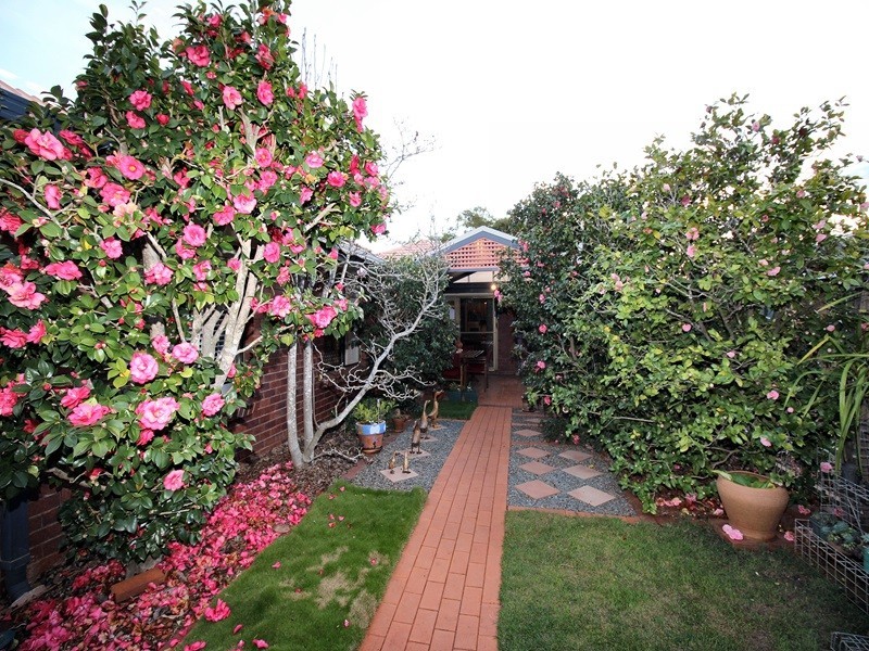 14 Petrina St, Eight Mile Plains QLD 4113