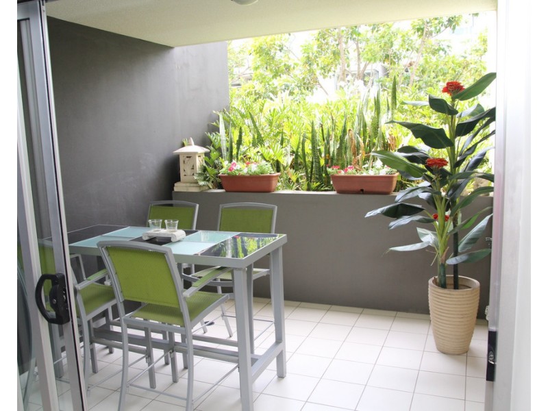 41/25 Love Street, Bulimba QLD 4171