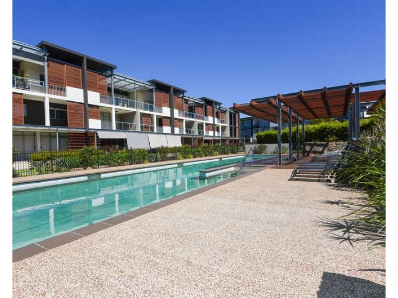 41/25 Love Street, Bulimba QLD 4171