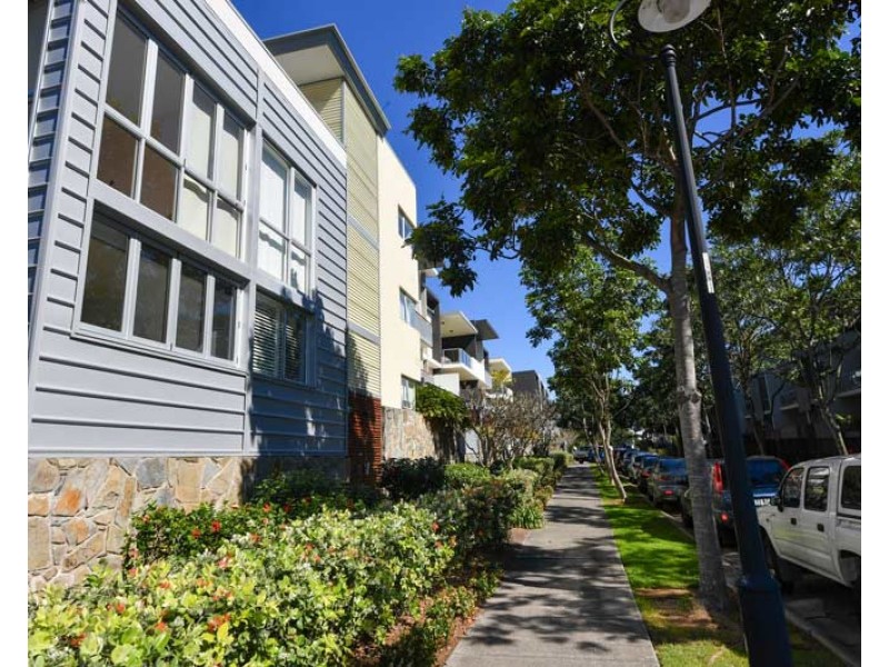 41/25 Love Street, Bulimba QLD 4171