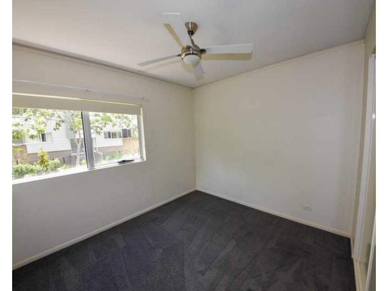 41/25 Love Street, Bulimba QLD 4171