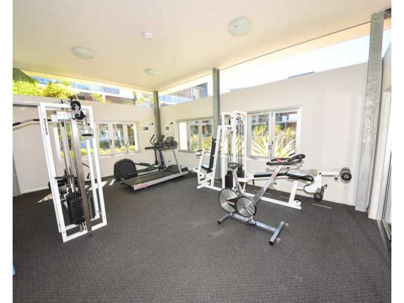 41/25 Love Street, Bulimba QLD 4171