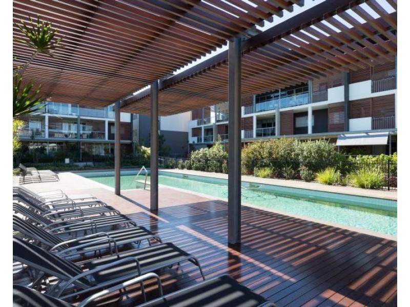 41/25 Love Street, Bulimba QLD 4171