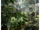 84/57 Grand Parade, Kawana Island QLD 4575