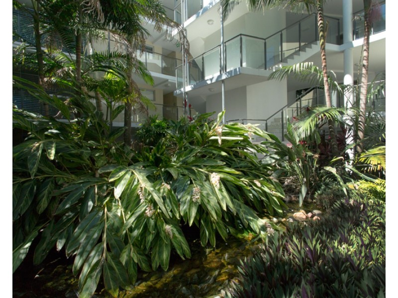 84/57 Grand Parade, Kawana Island QLD 4575
