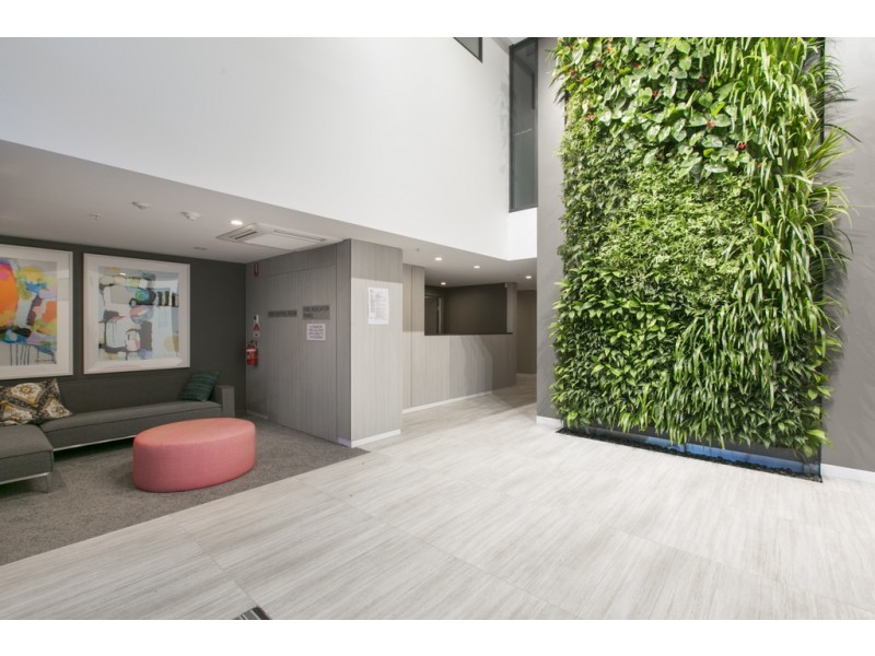 1106/123 Cavendish Road, Coorparoo QLD 4151