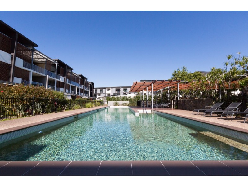 36/25 Love Street, Bulimba QLD 4171