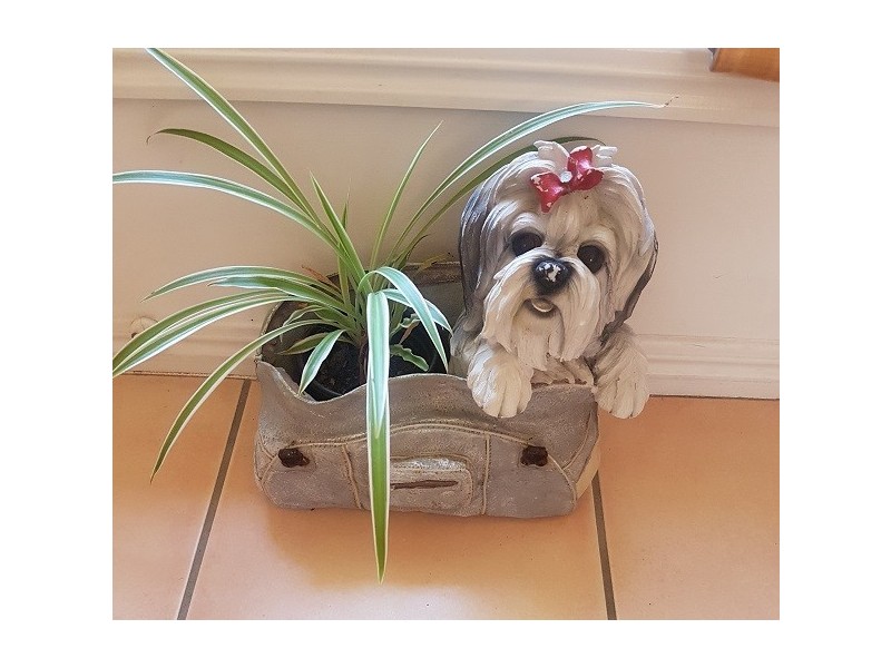 19 90, Caloundra, Caloundra QLD 4551