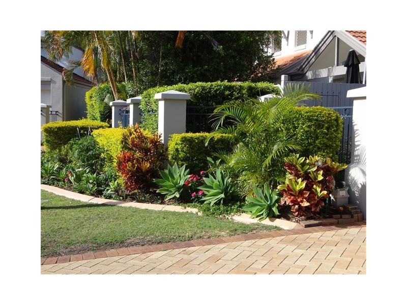 107 Coutts Street, Bulimba QLD 4171