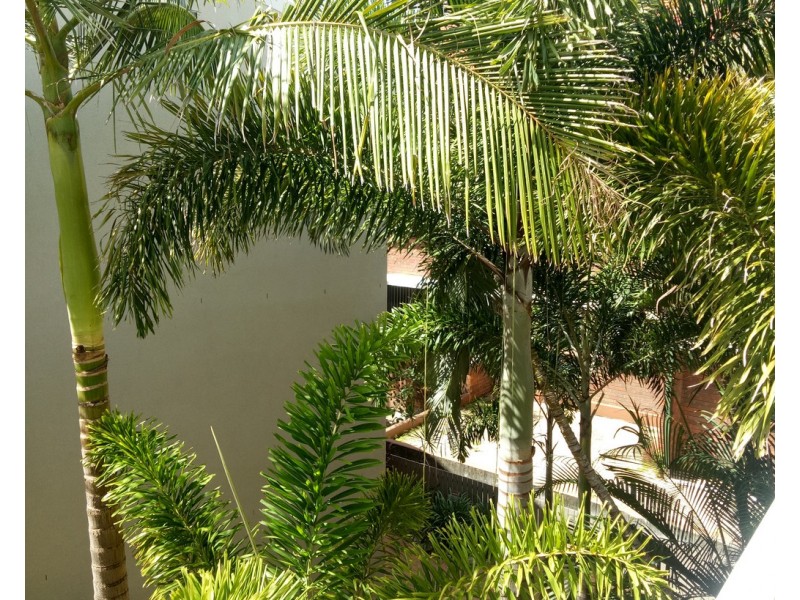 27/3650 La Joya, Main Beach Pde, Main Beach QLD 4217