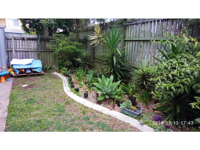 43/15 Peterson Street, Wellington Point QLD 4160