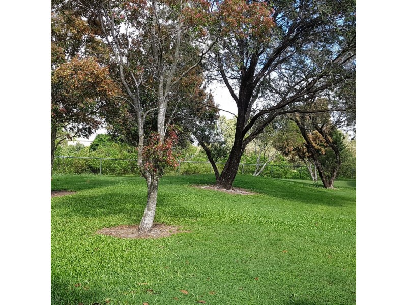 Bundall QLD 4217