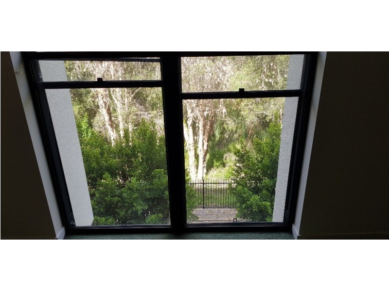 154 North Hill Drive, Robina QLD 4226