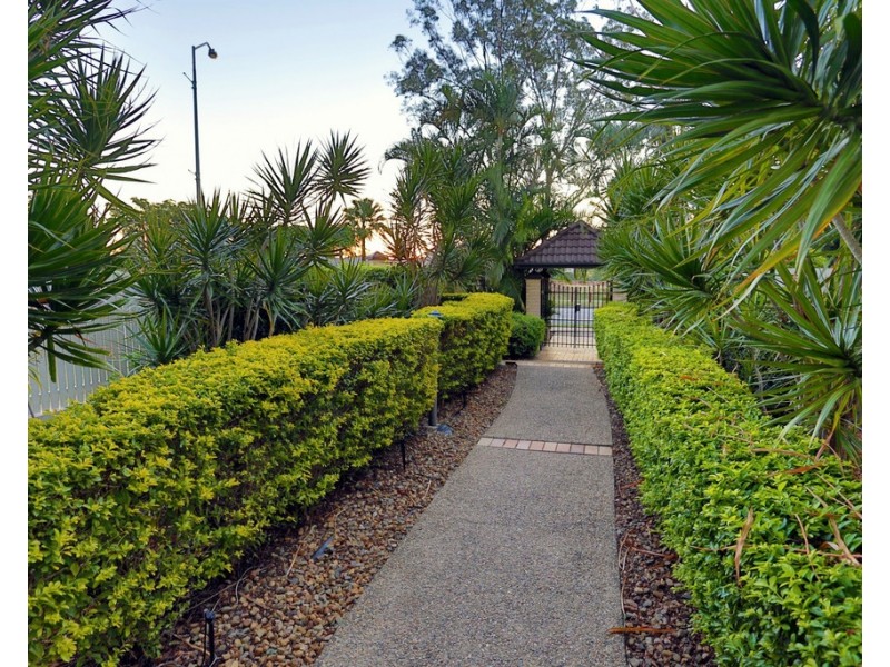 31/236 River Terrace, Kangaroo Point QLD 4169