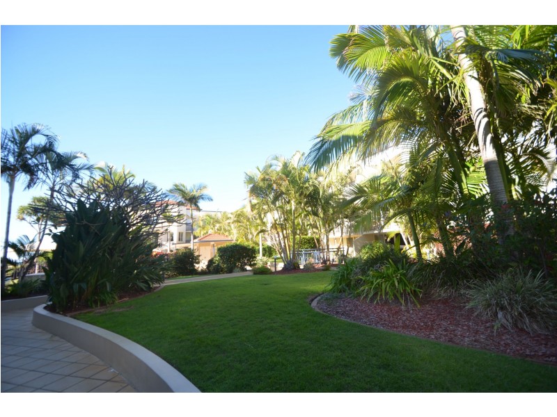 31/437 Golden Four Drive, Tugun QLD 4224