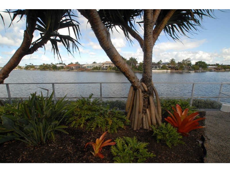 20 / 46 Regatta Blvd, Wurtulla QLD 4575