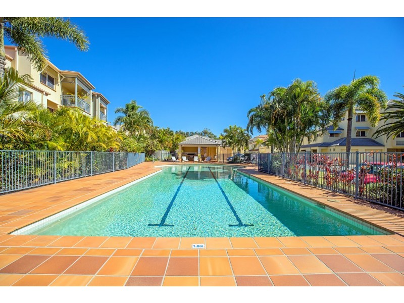 13/82 Limetree Parade, Runaway Bay QLD 4216