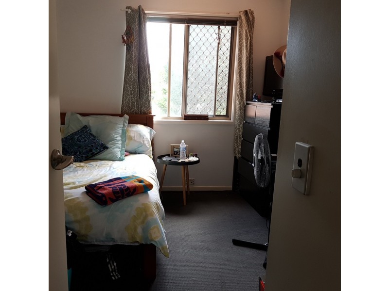 flatmate @ 11 Waterford court, Bundall QLD 4217