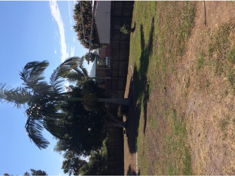 52 Poinciana Avenue, Tewantin QLD 4565