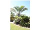Unit 88/33-67 Edmund Rice Drive, Southport QLD 4215