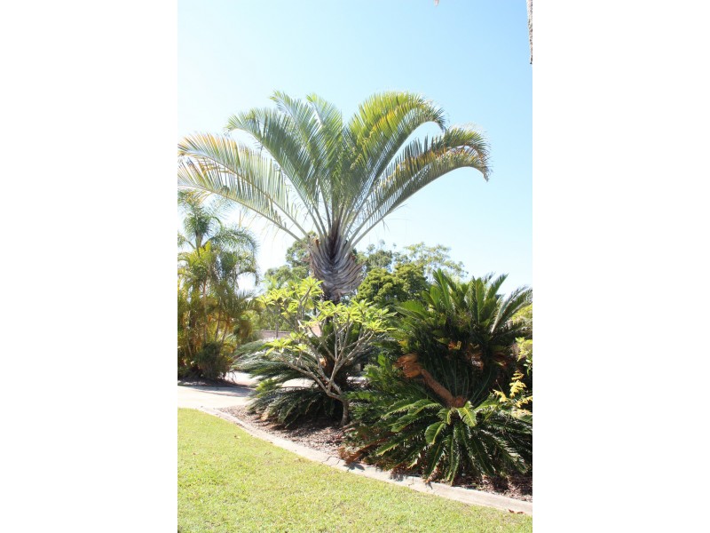 Unit 88/33-67 Edmund Rice Drive, Southport QLD 4215