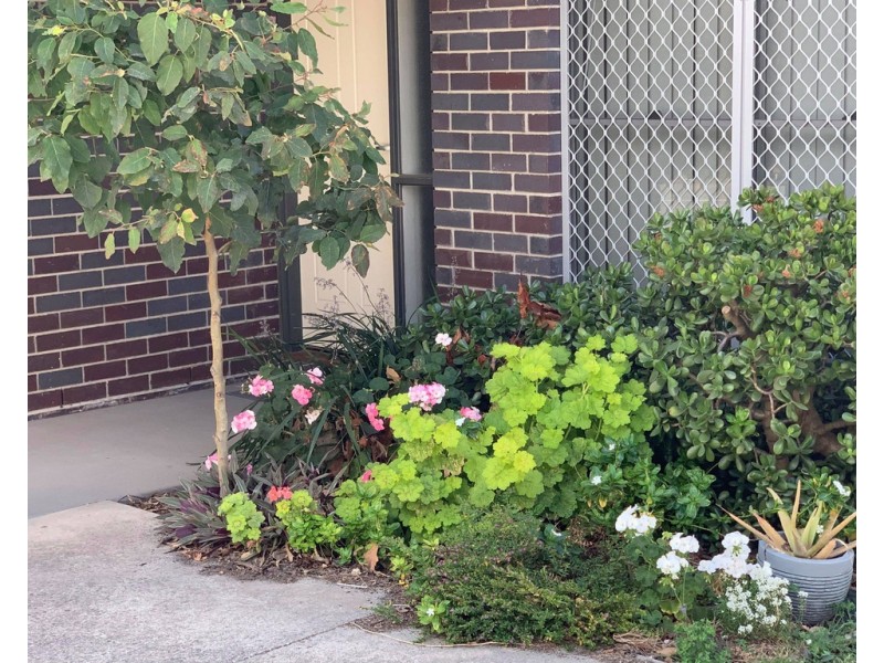 12/54a Briggs Road, Raceview QLD 4305