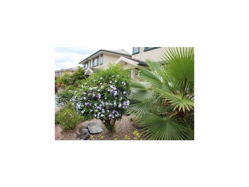 Upper Coomera QLD 4209