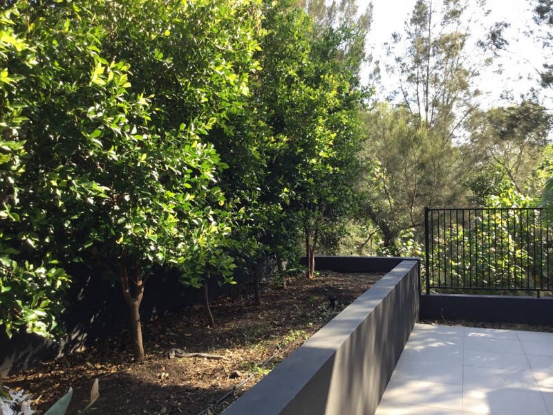 114/33 Lakefront Crescent, Varsity Lakes QLD 4227