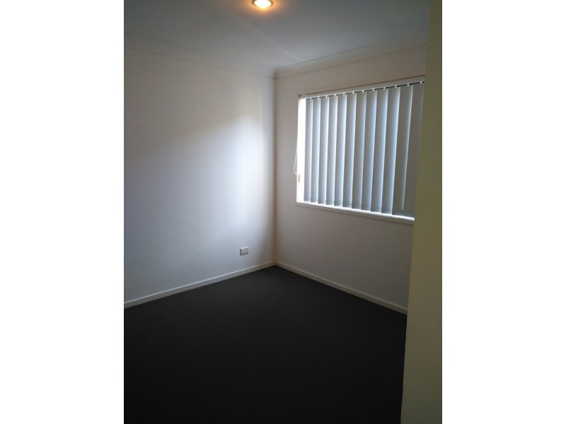 590 PINE RIDGE ROAD, Coombabah QLD 4216