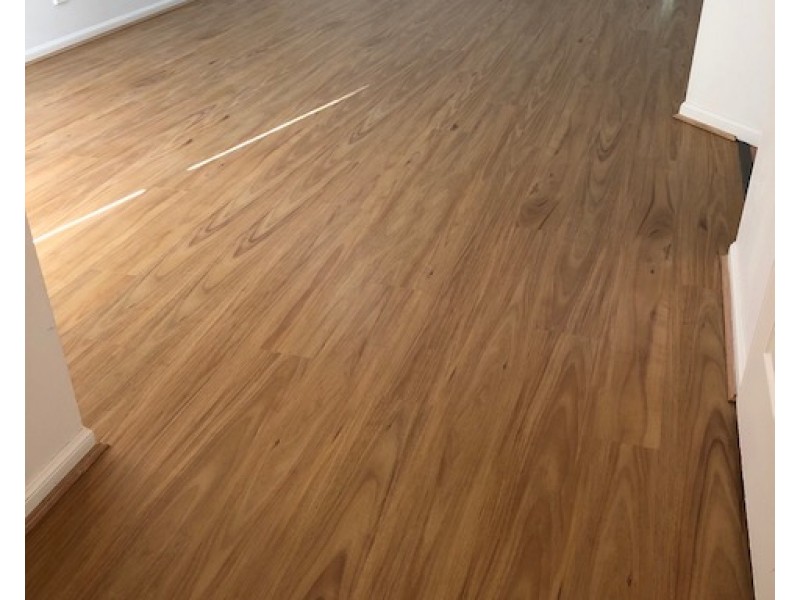 54 Gemvale Road, Reedy Creek QLD 4227