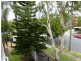 49/7-17 Purli St, Chevron Island QLD 4217