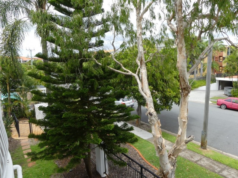 49/7-17 Purli St, Chevron Island QLD 4217