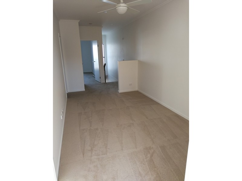 19 Broolyn Crescent, Robina QLD 4226