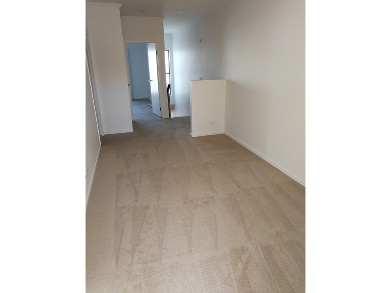 19 Broolyn Crescent, Robina QLD 4226