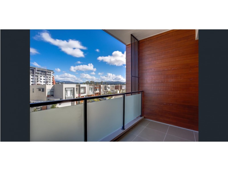 19 Broolyn Crescent, Robina QLD 4226