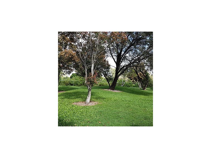 villa @ 11 Waterford Court, Bundall QLD 4217