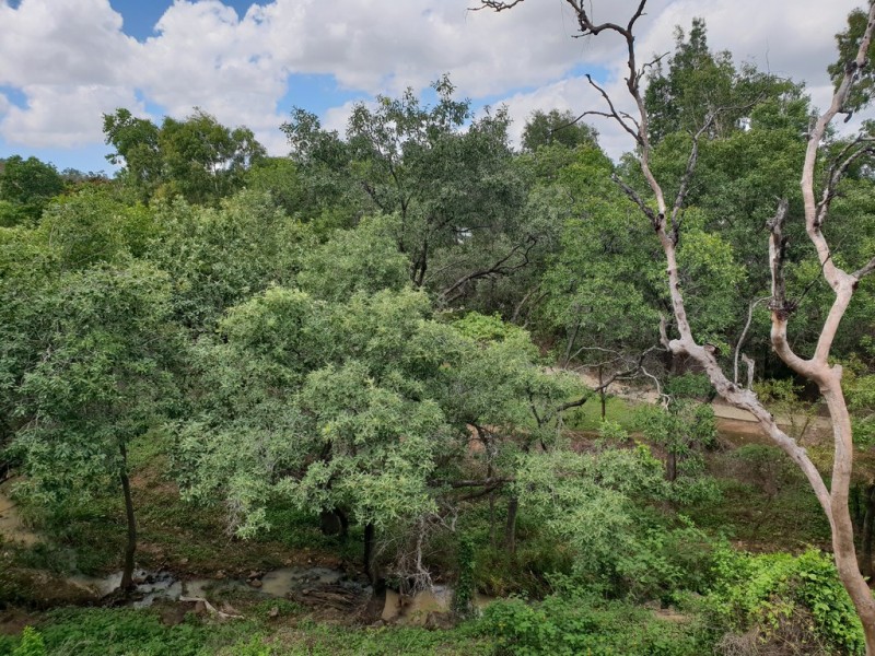 705/4 Paddington Terrace, Douglas QLD 4814