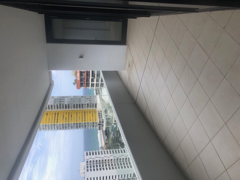 1603/17 Albert Street, Broadbeach QLD 4218