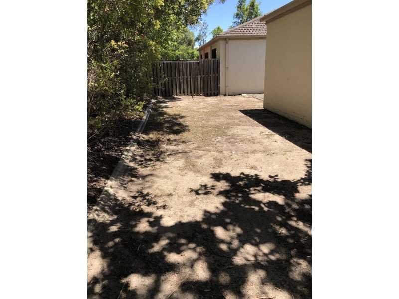 590 Pine Ridge Road, Coombabah QLD 4216